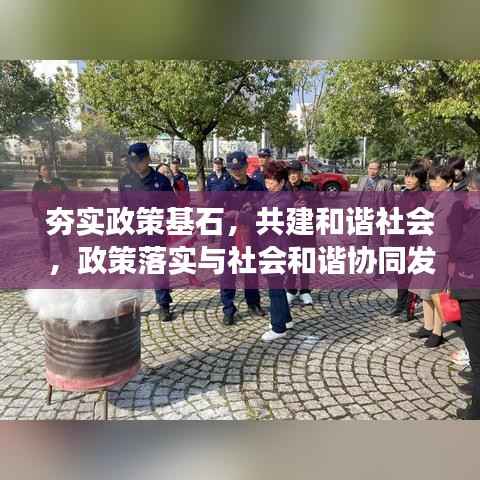 夯实政策基石,共建和谐社会,政策落实与社会和谐协同发展之路