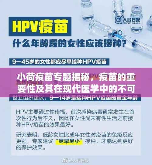 小荷疫苗专题揭秘,疫苗的重要性及其在现代医学中的不可替代角色