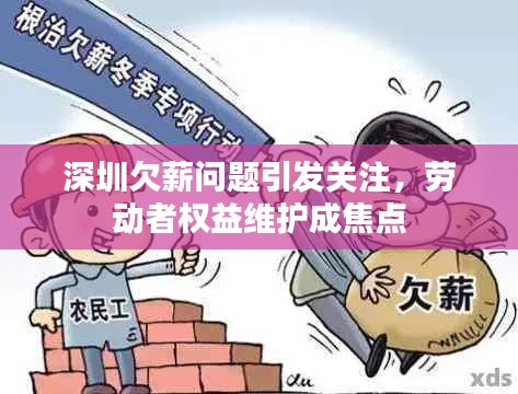 深圳欠薪问题引发关注,劳动者权益维护成焦点