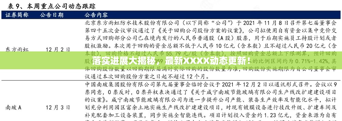 落实进展大揭秘,最新XXXX动态更新!