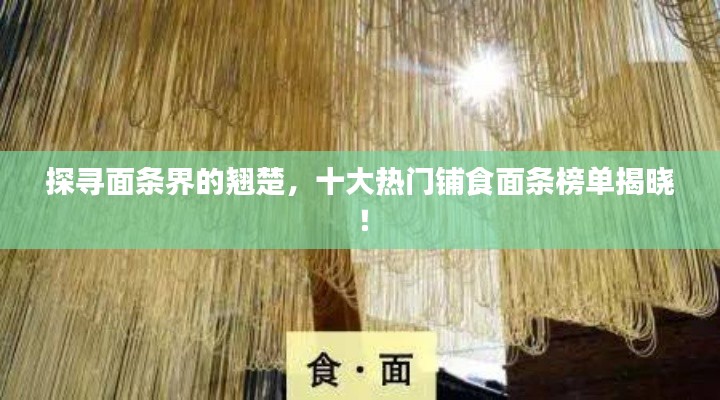 探寻面条界的翘楚,十大热门铺食面条榜单揭晓!