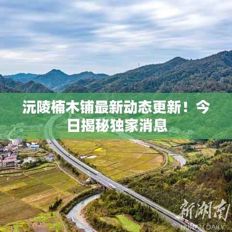 回眸最初 第3页