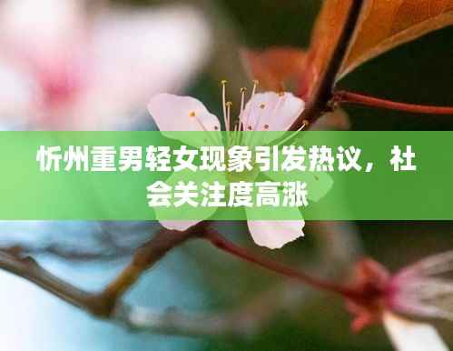 忻州重男轻女现象引发热议,社会关注度高涨