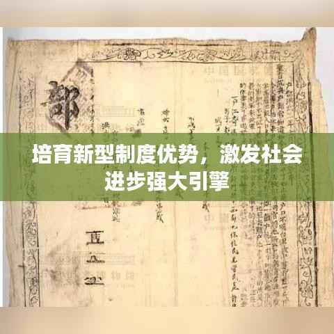 培育新型制度优势,激发社会进步强大引擎