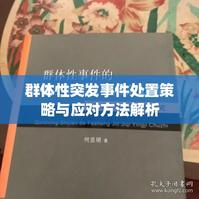 群体性突发事件处置策略与应对方法解析