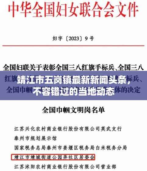 靖江市五岗镇最新新闻头条，不容错过的当地动态