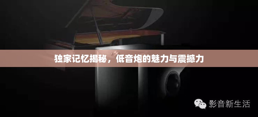 独家记忆揭秘,低音炮的魅力与震撼力