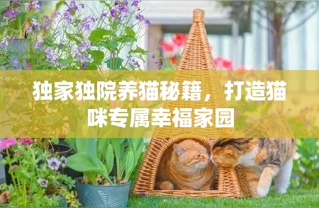 独家独院养猫秘籍,打造猫咪专属幸福家园