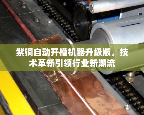 神气十足 第2页