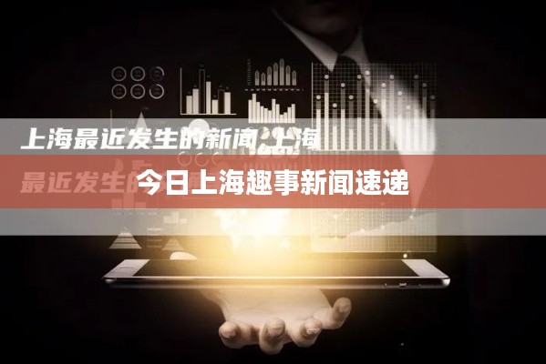 今日上海趣事新闻速递