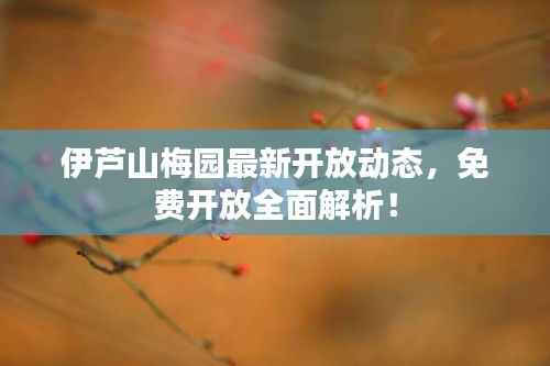伊芦山梅园最新开放动态，免费开放全面解析！