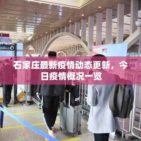 石家庄最新疫情动态更新,今日疫情概况一览