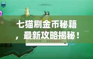 七猫刷金币秘籍,最新攻略揭秘!