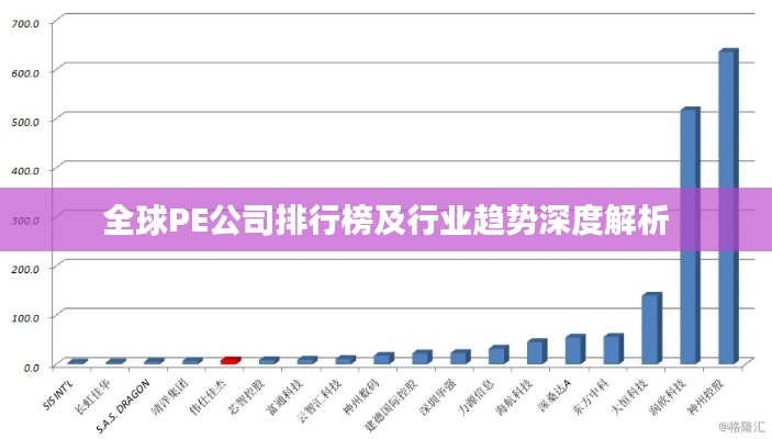 全球PE公司排行榜及行业趋势深度解析