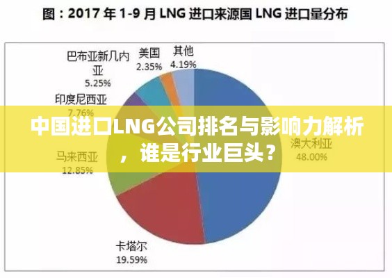 中国进口LNG公司排名与影响力解析,谁是行业巨头?