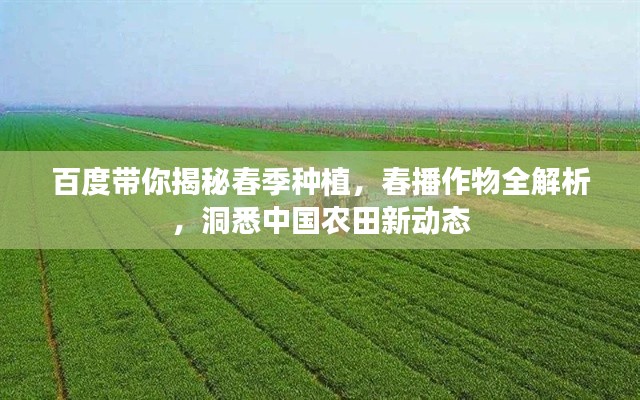 百度带你揭秘春季种植,春播作物全解析,洞悉中国农田新动态
