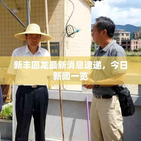 新丰回龙最新消息速递,今日新闻一览