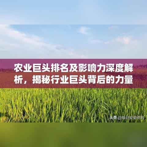 农业巨头排名及影响力深度解析，揭秘行业巨头背后的力量