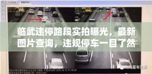 临武违停路段实拍曝光,最新图片查询,违规停车一目了然