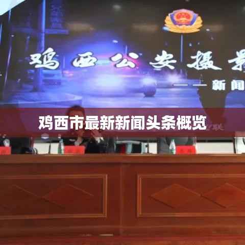 鸡西市最新新闻头条概览