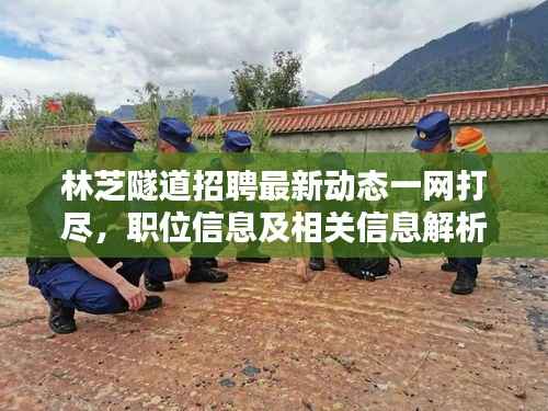 林芝隧道招聘最新动态一网打尽,职位信息及相关信息解析