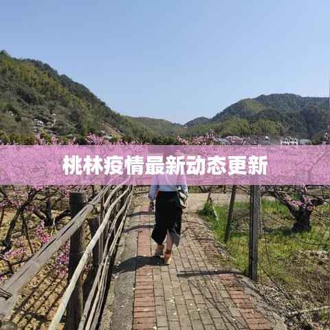 桃林疫情最新动态更新