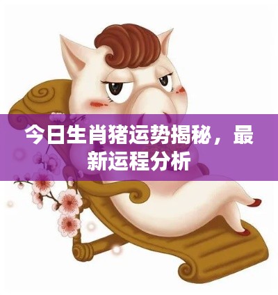 今日生肖猪运势揭秘，最新运程分析