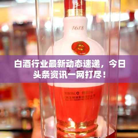 白酒行业最新动态速递，今日头条资讯一网打尽！