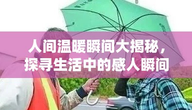 人间温暖瞬间大揭秘,探寻生活中的感人瞬间,满满正能量!