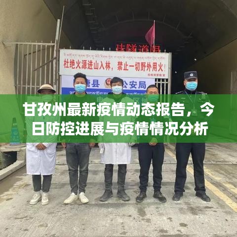 甘孜州最新疫情动态报告,今日防控进展与疫情情况分析