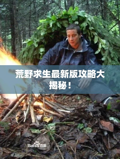 荒野求生最新版攻略大揭秘！