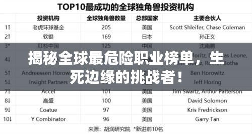 揭秘全球最危险职业榜单,生死边缘的挑战者!