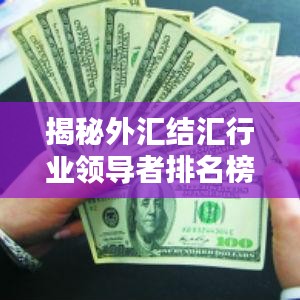揭秘外汇结汇行业领导者排名榜单!