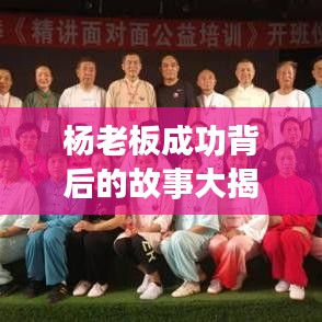 杨老板成功背后的故事大揭秘，专题深度解读成功之路