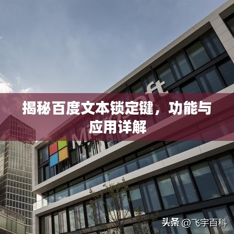揭秘百度文本锁定键，功能与应用详解