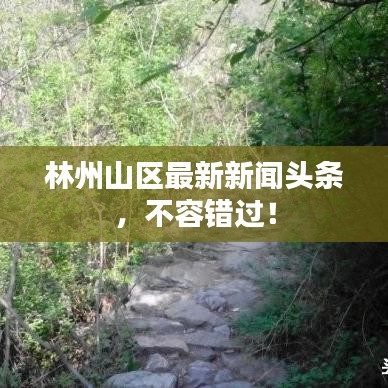 林州山区最新新闻头条,不容错过!