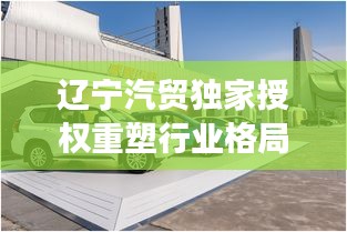 辽宁汽贸独家授权重塑行业格局,引领汽车未来发展趋势