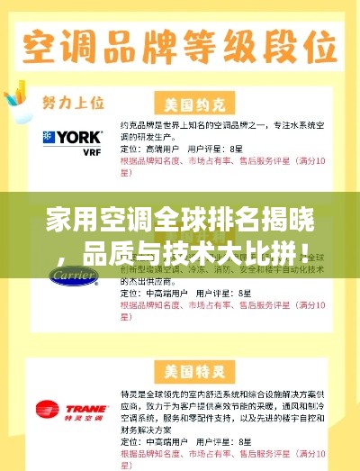 雍容华贵 第2页