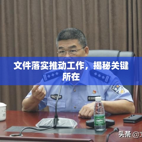 文件落实推动工作,揭秘关键所在