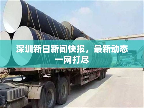 深圳新日新闻快报，最新动态一网打尽