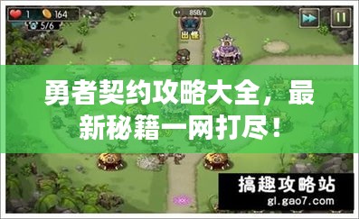 勇者契约攻略大全,最新秘籍一网打尽!