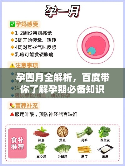 孕四月全解析，百度带你了解孕期必备知识
