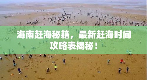 海南赶海秘籍，最新赶海时间攻略表揭秘！
