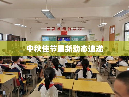 中秋佳节最新动态速递