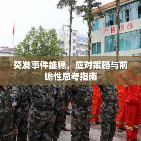 突发事件维稳，应对策略与前瞻性思考指南