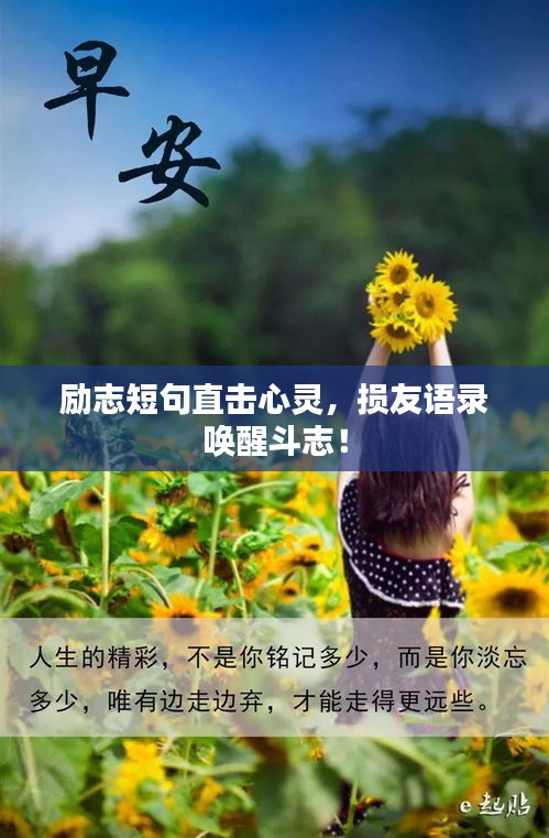 励志短句直击心灵,损友语录唤醒斗志!